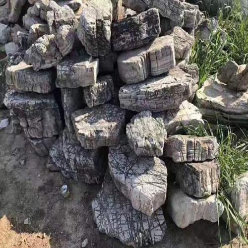 园林景观石
