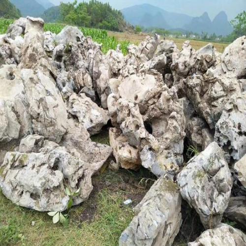 园林景观石