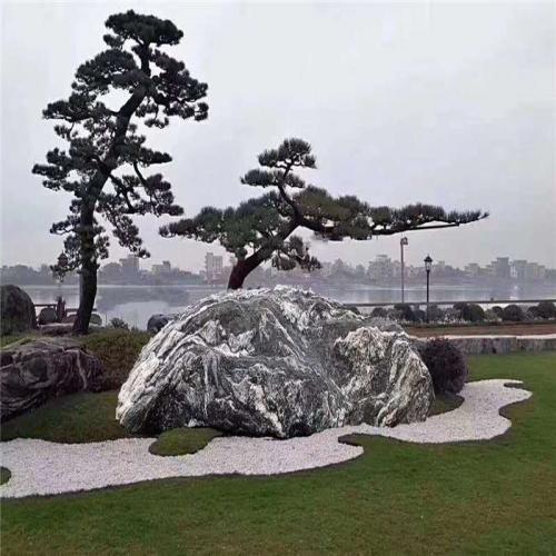 泰山石|雪浪石