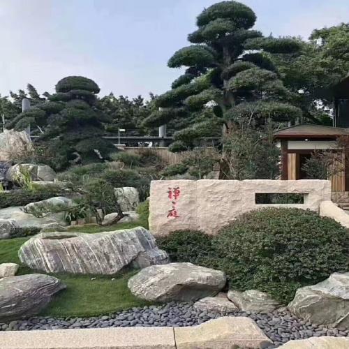 泰山石雪浪石卵石