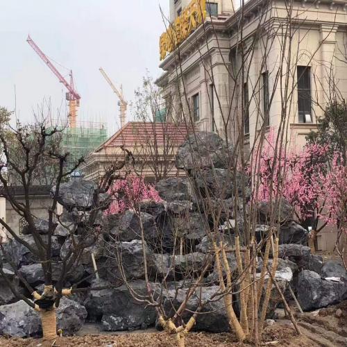 黑山石园林